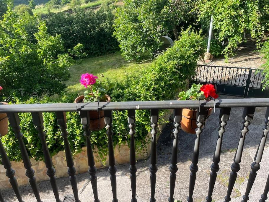 Casa A Boga Ribeira Sacra Villa Abeleda Eksteriør bilde
