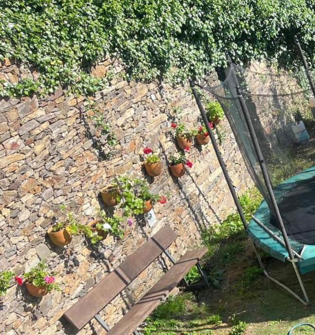 Casa A Boga Ribeira Sacra Villa Abeleda Eksteriør bilde