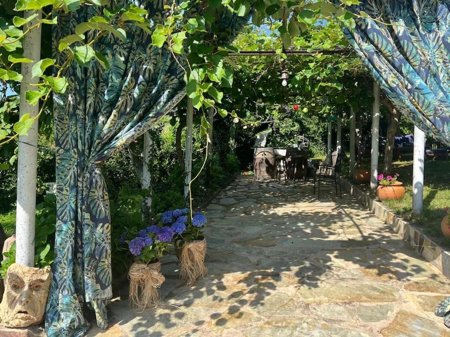 Casa A Boga Ribeira Sacra Villa Abeleda Eksteriør bilde