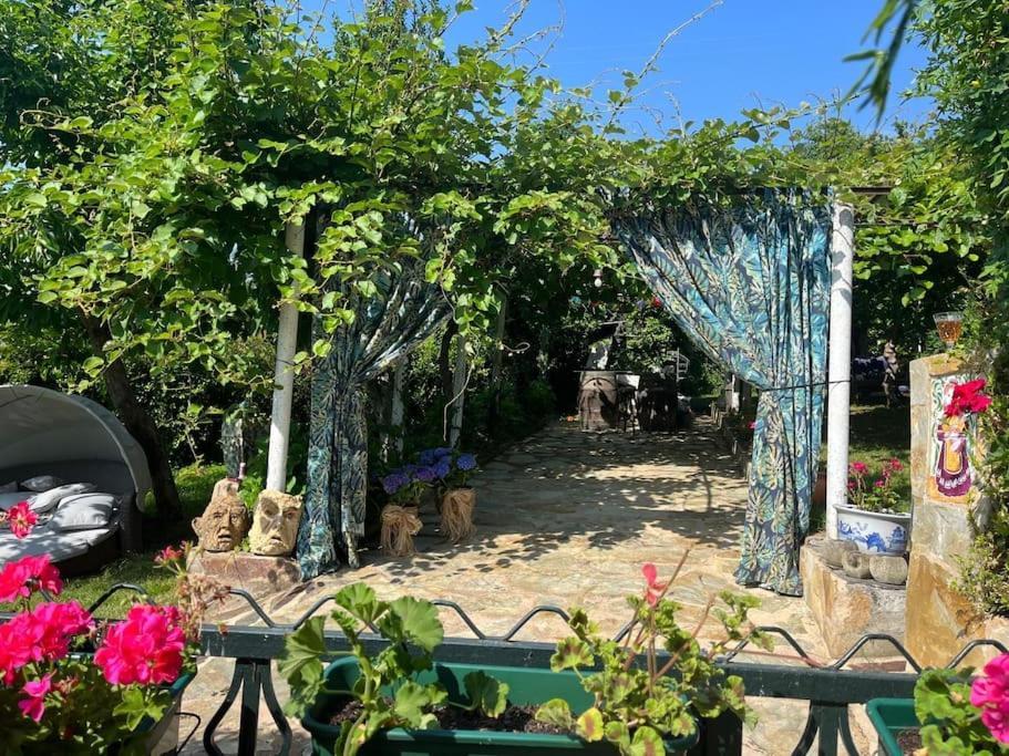 Casa A Boga Ribeira Sacra Villa Abeleda Eksteriør bilde